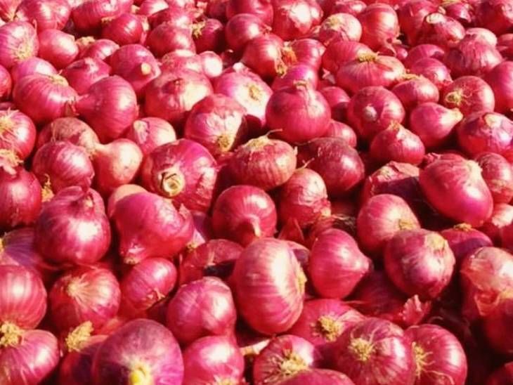 बनवाबनवी कांदा खरेदीची:  ‘नाफेड’च्या ठेक्यासाठी दाखवली ऑडिटमध्ये 1 कोटींची उलाढाल, बँक स्टेटमेंट देण्यास नकार, उपनिबंधक कार्यालयाचा शेरा – Nashik News