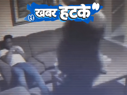 बॉयफ्रेंडवर 136 किलोच्या गर्लफ्रेंडने मारली उडी, मृत्यू:  सोशल मीडियामुळे त्रस्त गावकऱ्यांनी मोबाइल तोडले; 194 वर्षांच्या कासवाने केला विश्वविक्रम