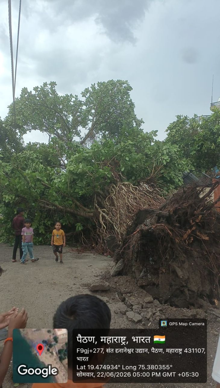पैठणला 35 मिनिटे वाऱ्यासह पाऊस; 12 झाडे उन्मळली:  तीन जण जखमी, काही घरांवरील पत्रे उडाले, धान्य मार्केट परिसरामध्ये पाणी तुंबले‎ – Chhatrapati Sambhajinagar News