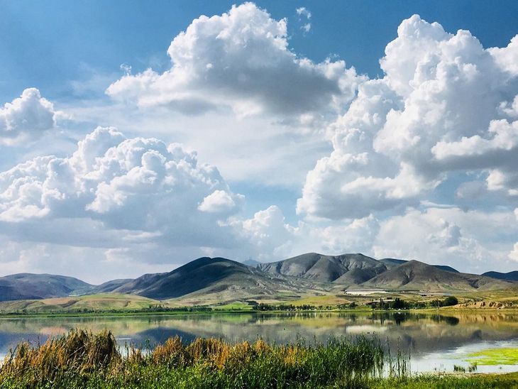 विदर्भात 54 टक्के पावसाची तूट:  जून संपत आला तरी समाधानकारक पाऊस नाही, पेरण्या खोळंबल्या – Nagpur News