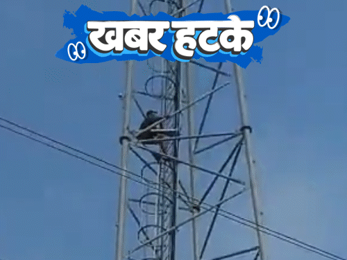 तिसऱ्या पत्नीच्या मनधरणीसाठी टॉवरवर चढला युवक:  गार्ड रील बघत राहिले, तुरुंगातून बलात्कारी पळाला; मांजरीला अमर बनवण्यासाठी शास्त्रज्ञाचे अपहरण
