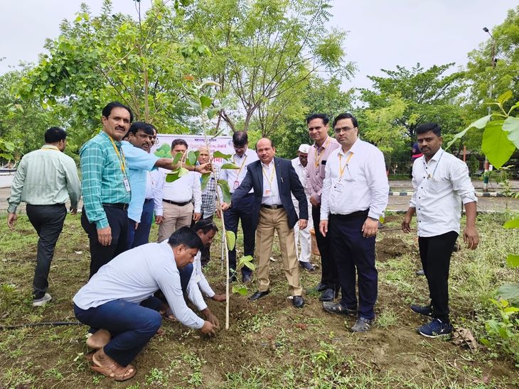 हिंगोली जिल्ह्याला यंदा 25.40 लाख वृक्ष लागवडीचे उद्दिष्ट:  वटपोर्णिमेच्या मुहुर्तावर जिल्हा परिषदेने वृक्ष लागवडीची केली सुरवात – Hingoli News