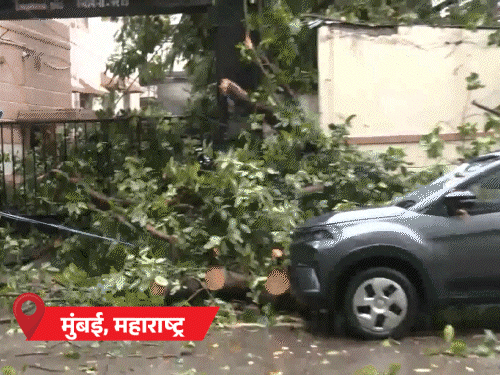 एमपी-यूपी, बिहारमध्ये वीज कोसळून 6 ठार:  मुजफ्फरनगरात 7 फूट रस्ता खचला; उत्तराखंडात भूस्खलन, रस्ते बंद, केदारनाथ यात्रा रोखली