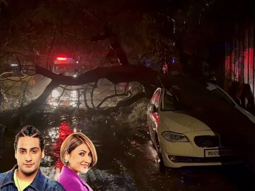 उर्वशी ढोलकियाच्या मुलाच्या गाडीवर कोसळले झाड:  मुंबईत मुसळधार पावसादरम्यान क्षितिज थोडक्यात बचावला, व्हिडिओ शेअर केला