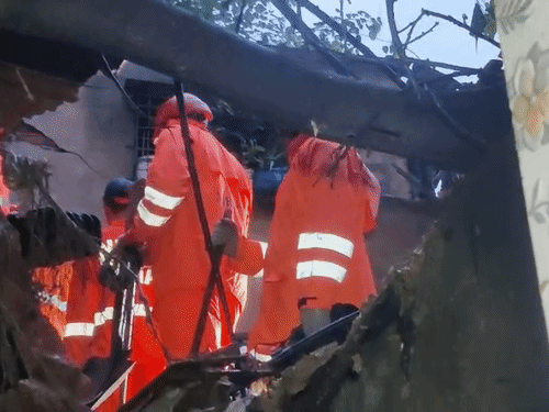 घाटकोपरमध्ये दरड कोसळून दोघांचा मृत्यू, अनेकजण ढिगाऱ्याखाली