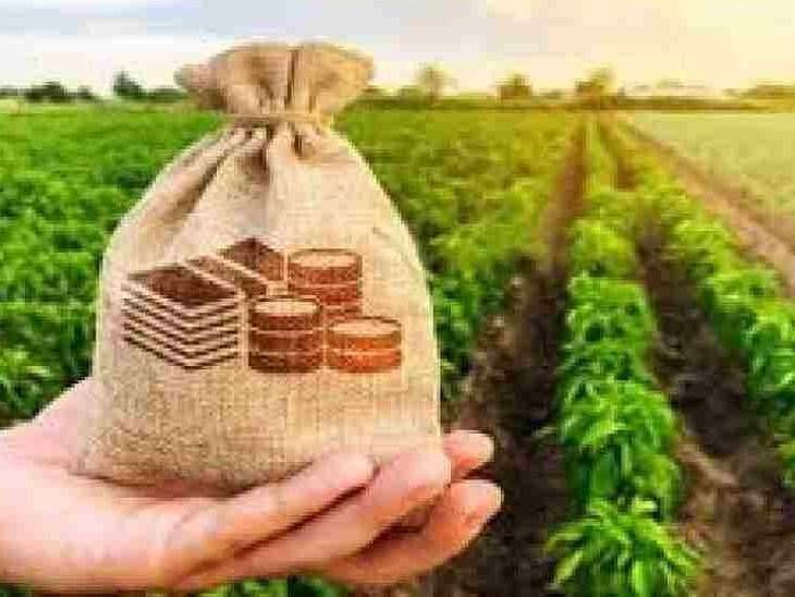 14 लाख शेतकऱ्यांच्या कर्जमाफीसाठी 2 दिवसांत त्रुटी दूर करा