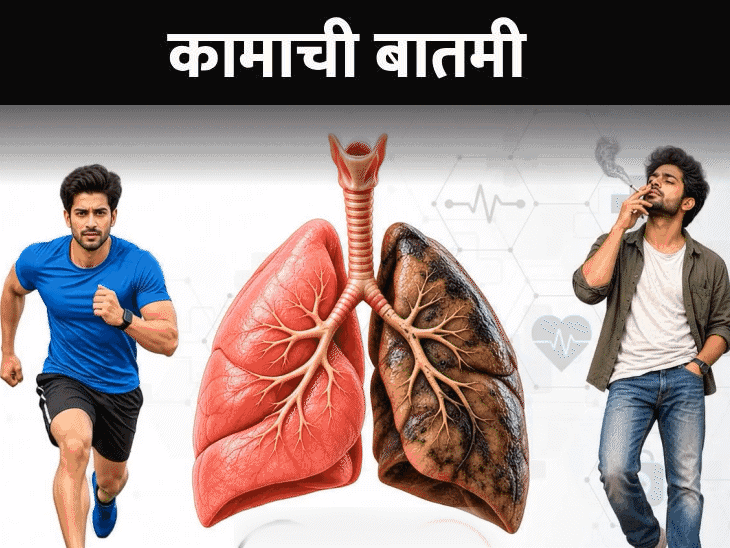 जागतिक फुफ्फुस दिन: धूम्रपानाचा फुफ्फुसांवर घातक परिणाम