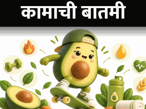 अ‍ॅव्होकॅडोचे 12 आरोग्यदायी फायदे: हेल्दी फॅट–फायबरने समृद्ध, खाण्याची योग्य पद्धत जाणून घ्या, खरेदी करताना...