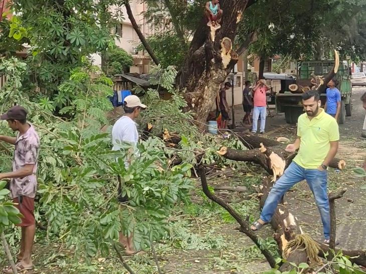 Bardoli Nagar Palika started pre-monsoon operations in the town; At ...