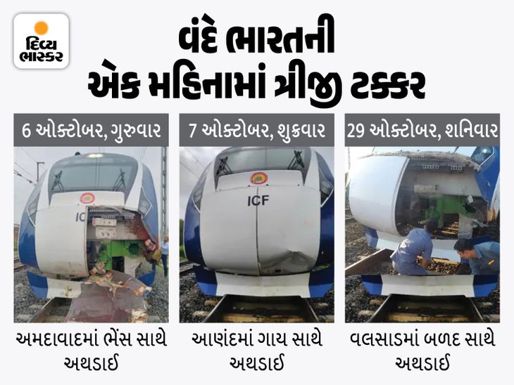 After buffalo, cow now train collides with bull, train is 20 minutes ...
