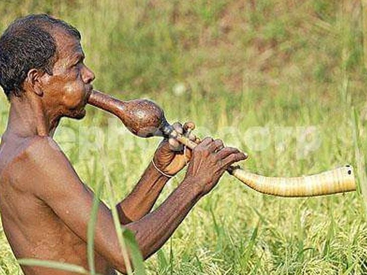 Tribals' attempt to save Tarpa, a traditional instrument