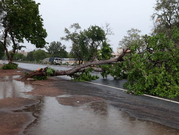 Heavy damage to summer crops due to half an inch of rain in the ...