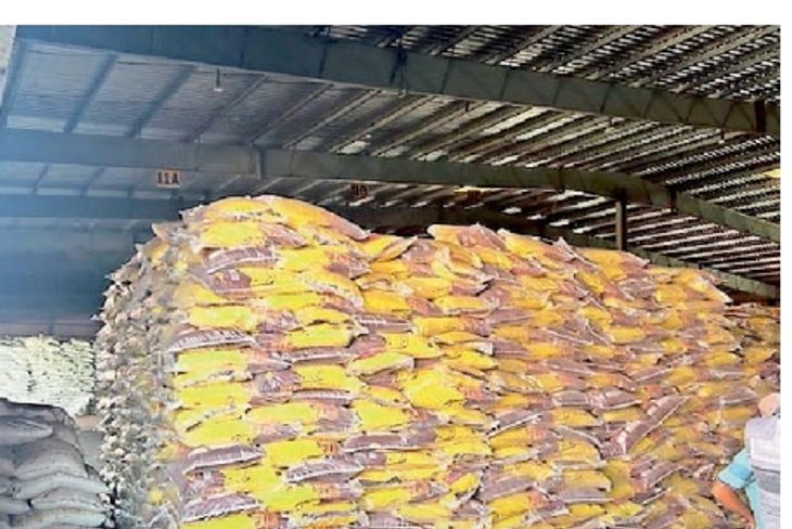 A large quantity of rice is exported from Kutch every year | કચ્છથી દર ...