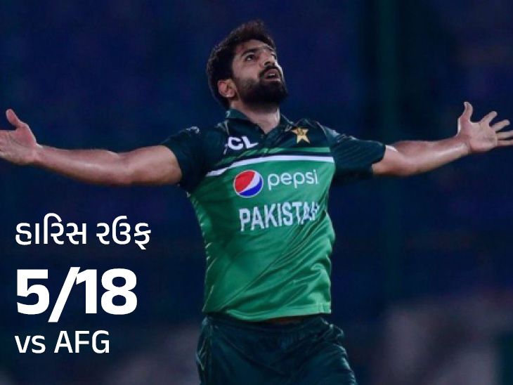 First ODI... Pakistan beat Afghanistan by 142 runs | પહેલી વન-ડે ...