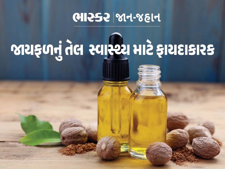 Nutmeg oil is beneficial for kidney and liver જાયફળનું તેલ કિડની અને