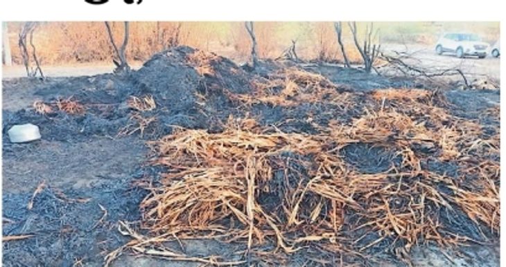 A fire in Lala border burnt valuable fodder in an area of three acres