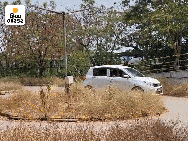 Driving test tracks of RTO resumed