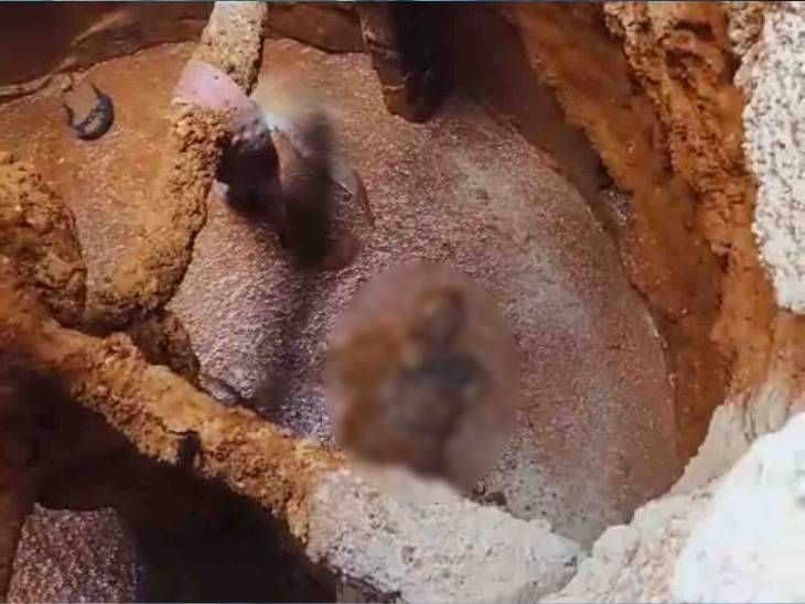 Died after falling into chemical pit for some reason, family refuses to ...