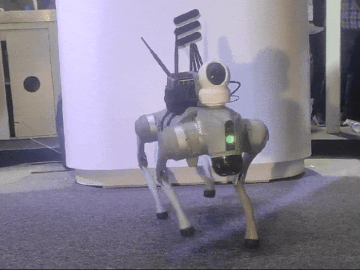 The robot will track bad crops રોબોટ ખરાબ પાકને ટ્રેક કરશે રોબો ડોગ