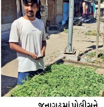Complaint filed against 3 more people for selling fodder in public