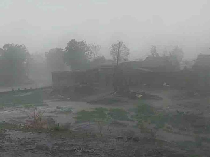 Light to moderate rain likely in Amreli district till May 20, farmers  advised to be careful | હવામાન વિભાગની ચેતવણી: અમરેલી જિલ્લામાં 20 મે સુધી  હળવાથી મધ્યમ વરસાદની શક્યતા ...