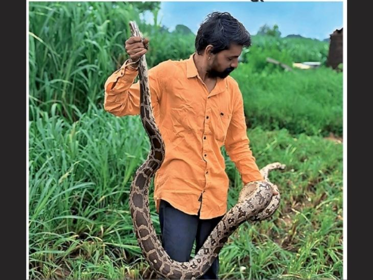 10-foot-long python caught from Tintisar farm