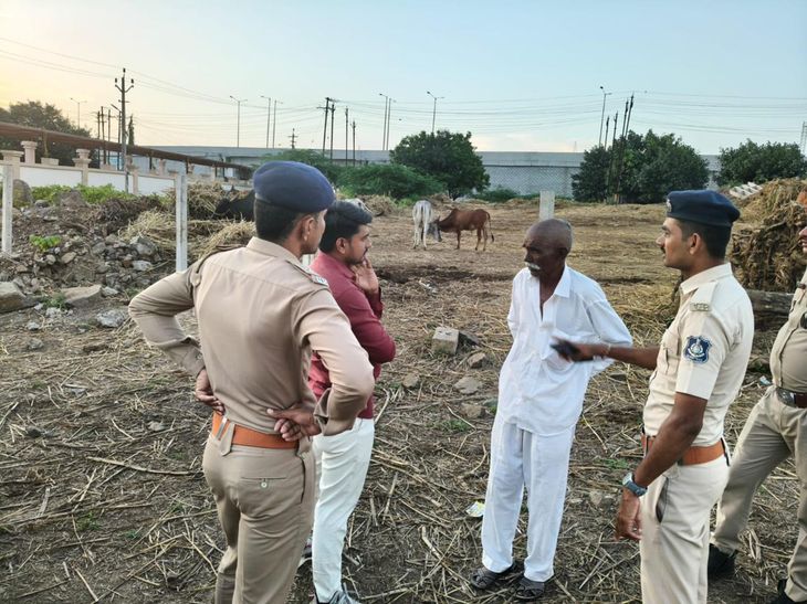 Checking of those selling fodder in public and those releasing animals ...