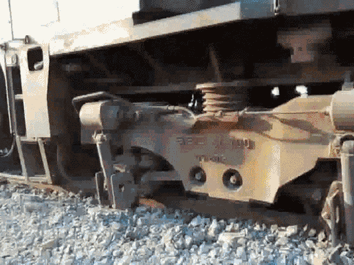 Assam Hojai Rajdhani Express Accident; 8 Elephants Killed Train ...