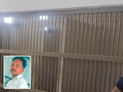Vadodara Man Arrested for Assaulting Wife Commits Suicide in Police Lockup