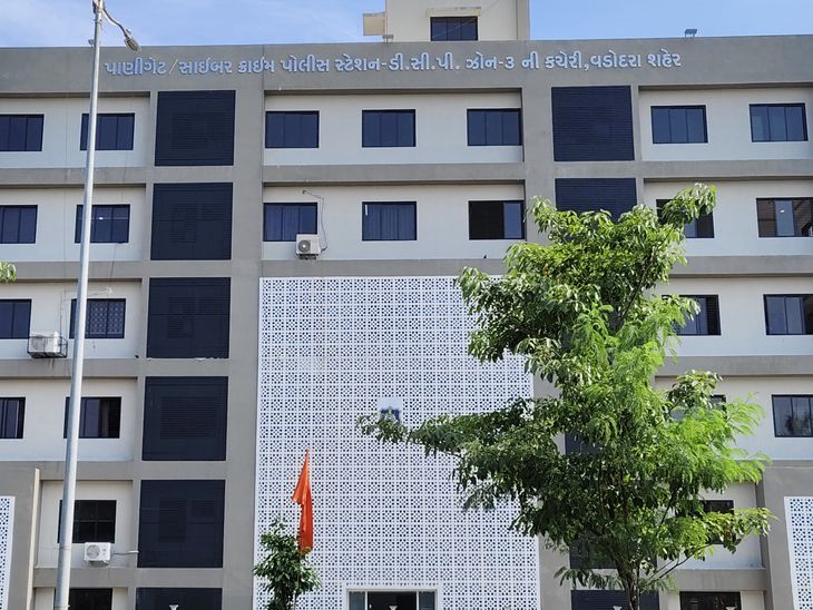 https://images.bhaskarassets.com/thumb/730x0/web2images/960/2026/02/19/img6520_1771480994.jpeg