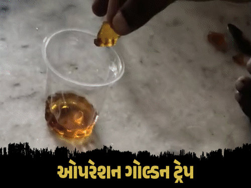 નકલી એમ્બરગ્રીસની ઠગાઈનો પર્દાફાશ