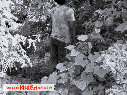 પત્ની પર હુમલા બાદ પતિની હત્યા, ઝાડ પર લટકતી લાશ મળી