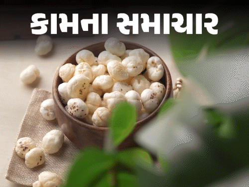 ઉપવાસનું સ્ટેપલ ફૂડ ‘મખાણા’:પ્રોટીન-ફાઇબરથી ભરપૂર, ખરીદતી વખતે 9 બાબતોનું ધ્યાન રાખો; જાણો 10 હેલ્થ બેનિફિટ્સ