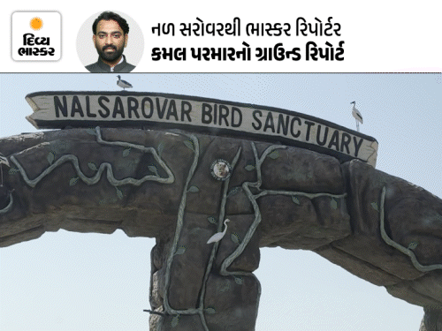 ગ્રાઉન્ડ રિપોર્ટહવે એકદમ બદલાયેલું લાગશે નળ સરોવર:230 નવી બોટ, ₹500 ફિક્સ ભાડું અને સાયકલિંગની મજા, જાણો શું ખાસ હશે?