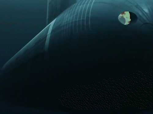 PM Modi released the video of the Navy's warship by sharing the video on X