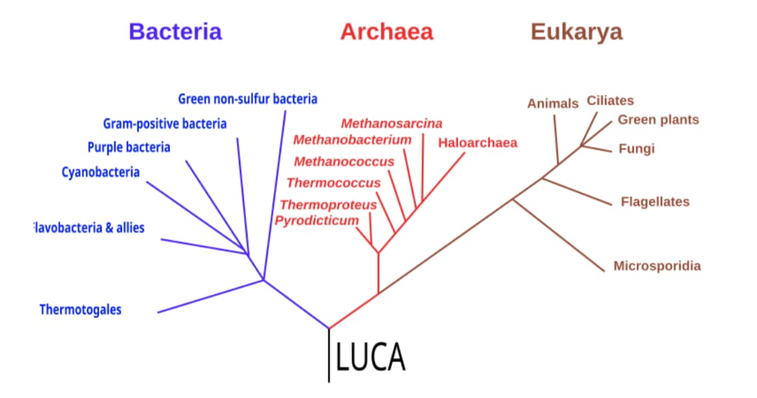 Ever wondered how life on Earth began?