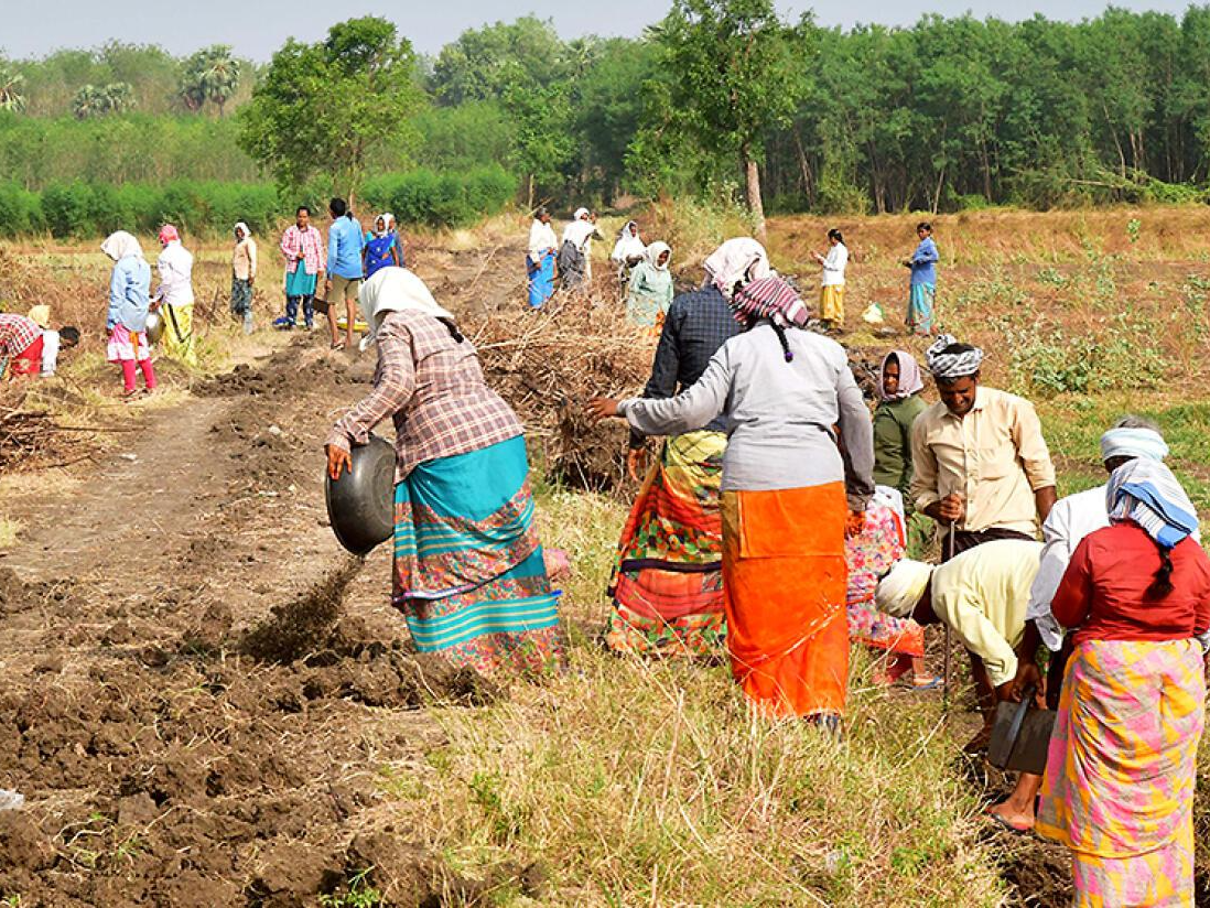 36 sharma and 12 gupta MNREGA workers in MP village