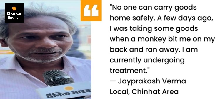 Monkey menace continues in Lucknow