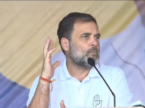 Rahul Gandhi to launch Congress revamp drive in MP, follows Modi's Bhopal  visit - Bhopal News | Bhaskar English