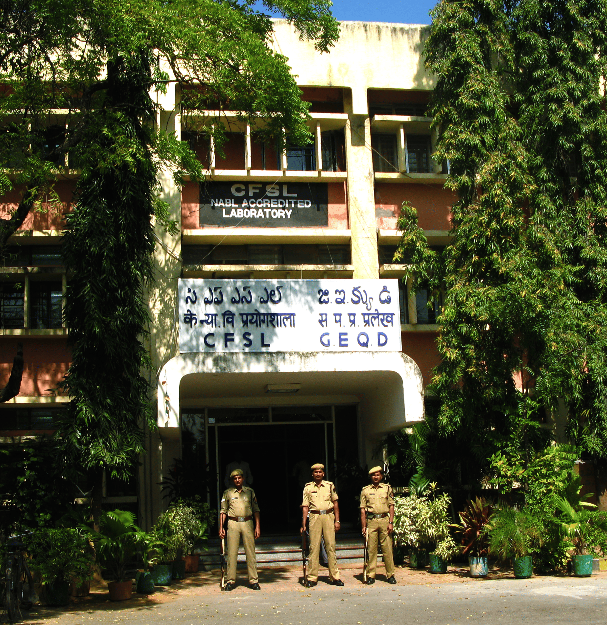 DNA Testing Helps Identify Crash Victims | Lessons from Nirbhaya ...