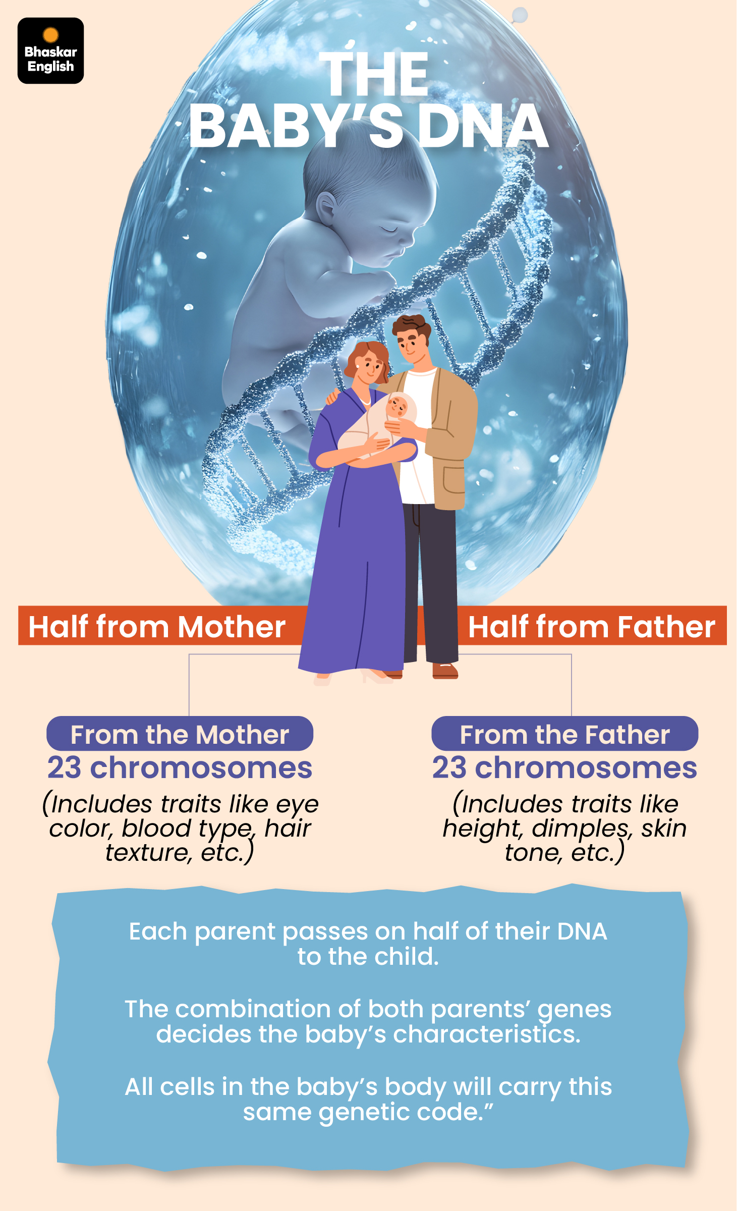 UK Scientists Build Human DNA in Lab: Designer Babies & Fatal Disease ...