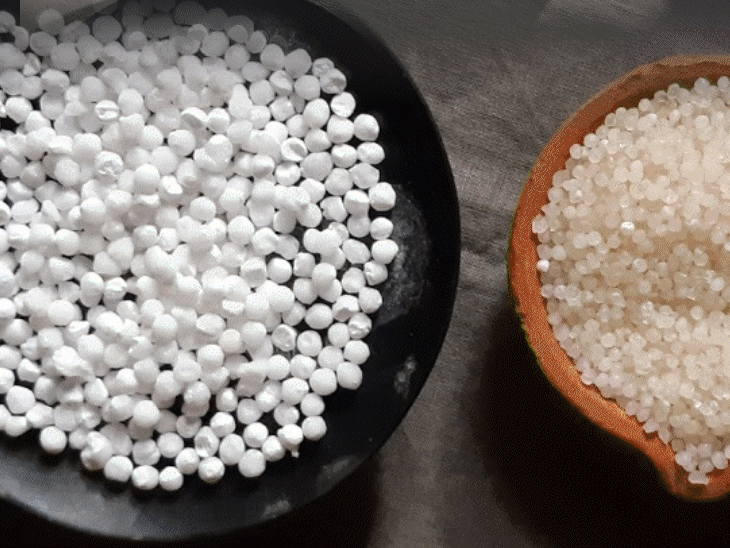 Adulterated sabudana available in market | Bhaskar English