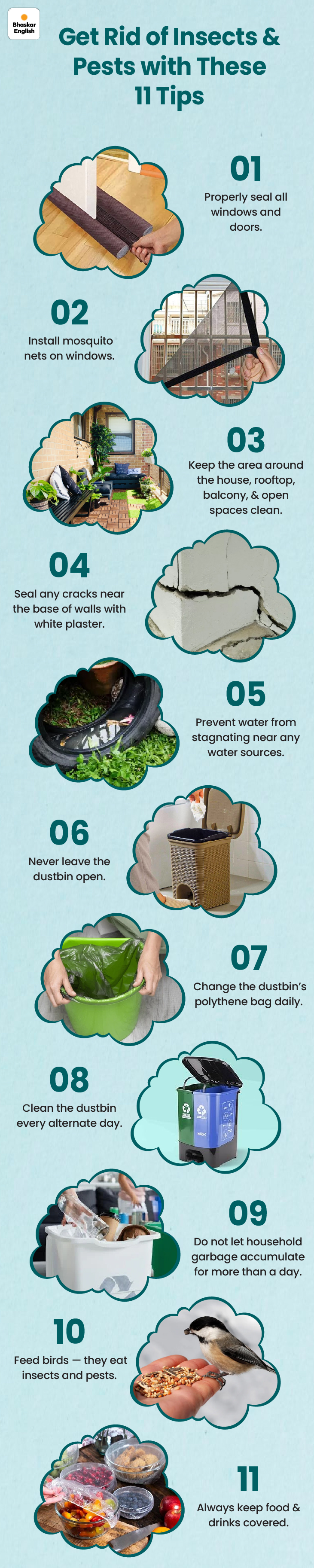 Natural ways to keep your home insect-free