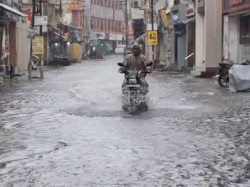 4 inches of rain in four hours floods Valsad shops: Showers hit Chhota Udaipur; IMD forecasts heavy rain across Gujarat from 14 to 21 August - Gujarat News | Bhaskar English