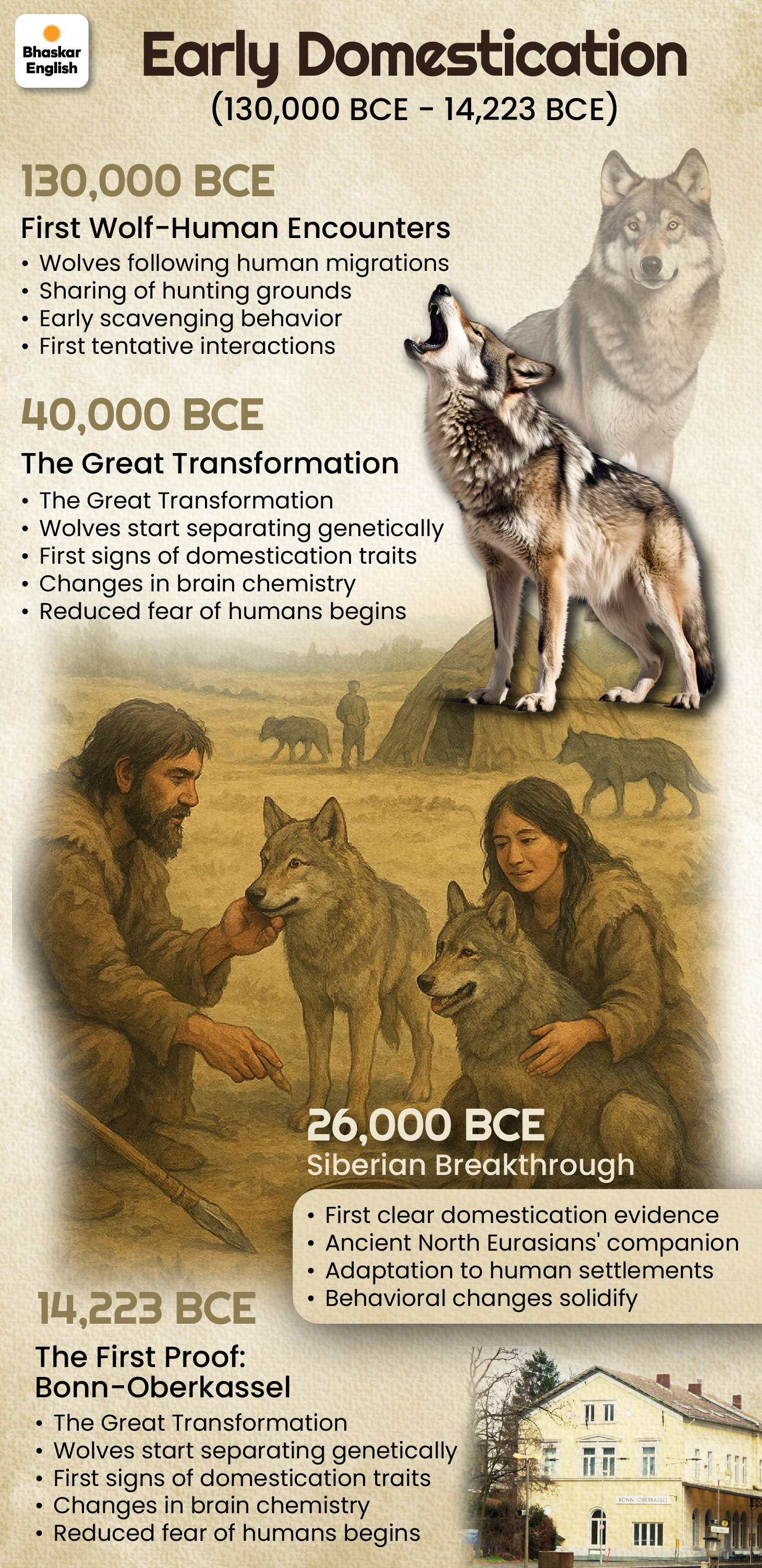 sunday-read-humans-oldest-friends-dogs-bond-history-verdict