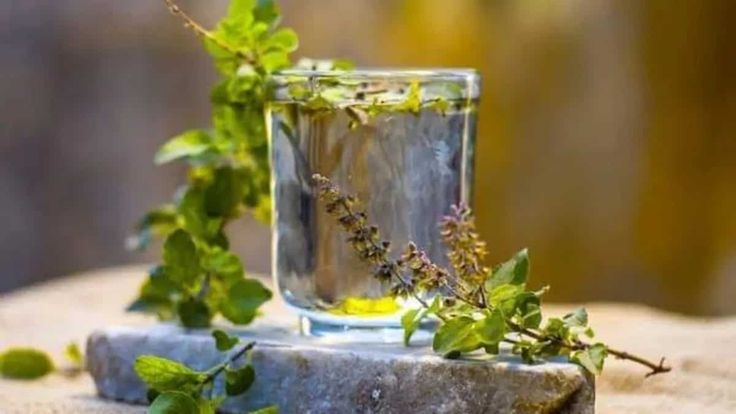 Tulsi Water