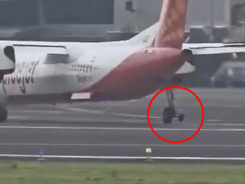 SpiceJet Q400 plane's wheel falls off on runway during take-off; Emergency  landing at Mumbai airport; all 75 passengers safe | Bhaskar English