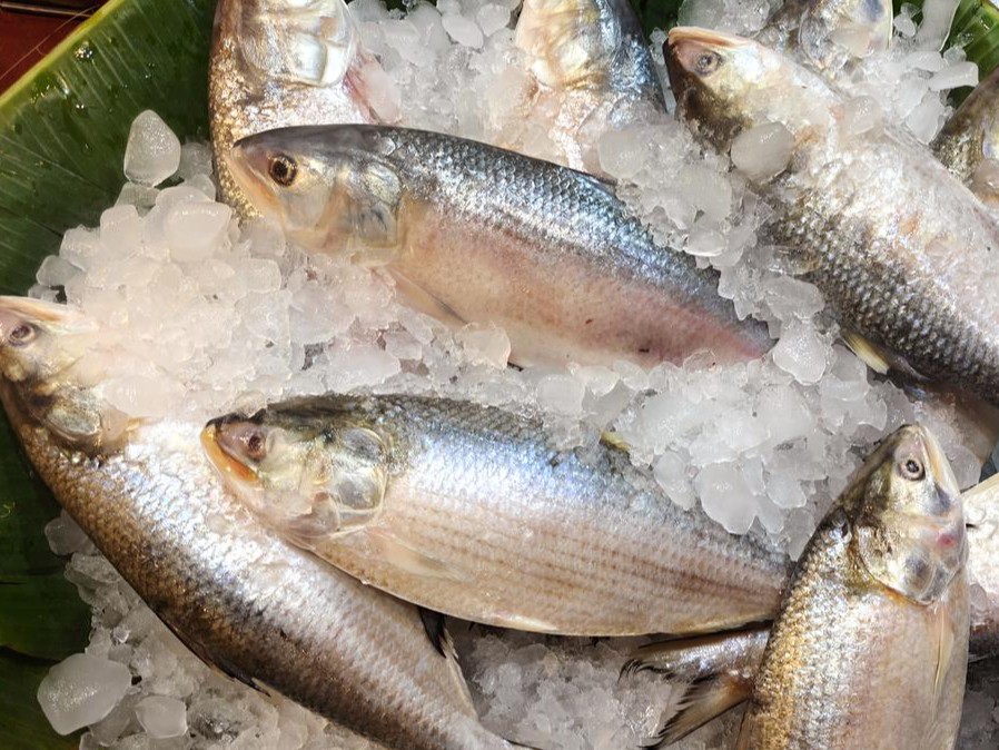 Seks video shabnami suray faqat aldamasdan