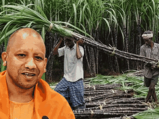 Cyclone Montha wreaks havoc in Telangana; UP govt hikes sugarcane price ...