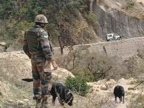 Militants trapped in forested zones in Kashmir. Threat triggers Operation  Chhatru; how was militant activity in Kishtwar tracked? | Bhaskar English
